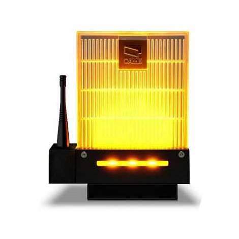 DADOO LAMPEGGIATORE A LED 230V/120V A - CAME 001DD-1KA DADOO LAMPEGGIATORE A LED 230V/120V A - CAME 001DD-1KA