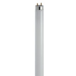 FLUO T8 TRIMAX 36W G13 840 4000K - BEGHELLI 52106
