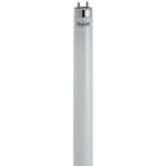 T8 SAVINGLED 600MM 9W G13 865 900LM TUBO VETRO - BEGHELLI 56231