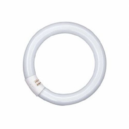 CIRCOLINA 32W/840 G10Q 4000K - LEDVANCE SPA L32840CN CIRCOLINA 32W/840 G10Q 4000K - LEDVANCE SPA L32840CN