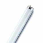 TUBO FLUORESCENTE 36W/60 ROSSO - LEDVANCE SPA L3660