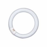 CIRCOLINA 40W/21 ALTO RENDIMENTO - LEDVANCE SPA L40840C CIRCOLINA 40W/21 ALTO RENDIMENTO - LEDVANCE SPA L40840C