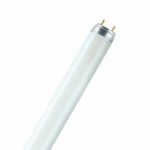 TUBO FLUORESCENTE 58W/11 865 6000K PLUS - LEDVANCE SPA L58865