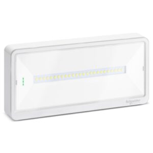 EXW LIGHT IP65 11/24W SE/SA 1/1,5/2/3H 250/120LM-SE 150LM-SA - OVA - SCHNEIDER OVA44013
