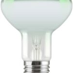 LAMP.CONCENTRA R80 60W VERDE E27 230V - LEDVANCE SPA R8060VE