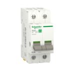 INT. SEZION. RESI9 IN 2P 63A 2M - OVA - SCHNEIDER R9PS263