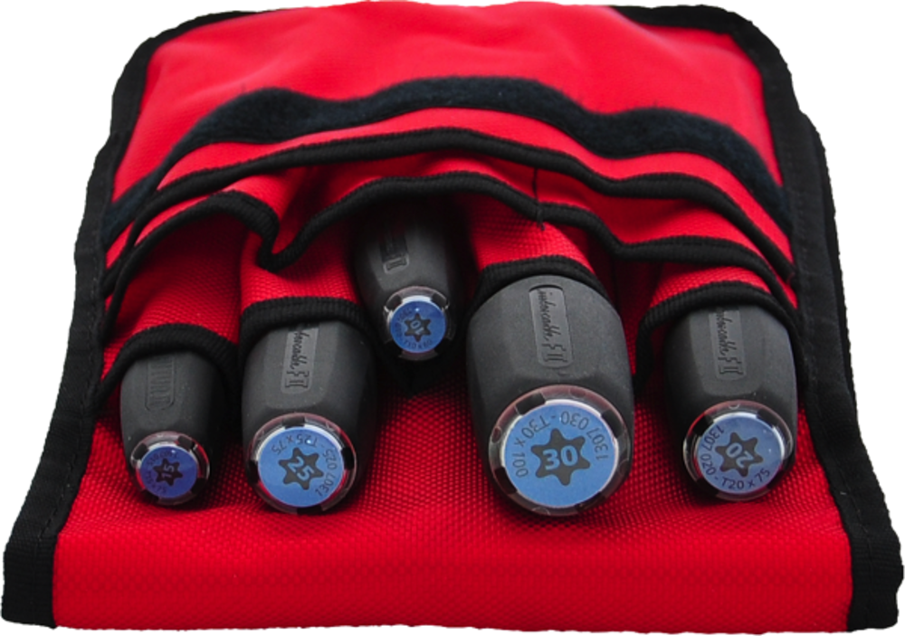 SET GIRAVITI X VITI TORX - INTERCABLE 1399013 SET GIRAVITI X VITI TORX - INTERCABLE 1399013