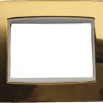 PLACCA CLASSIC 3M ORO LUCIDO - VIMAR 20653.B24